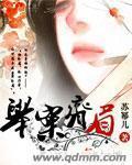举案齐眉封面