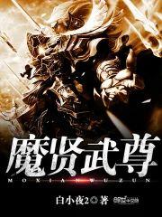 魔贤武尊封面