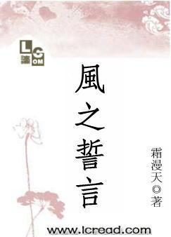 风之誓言封面