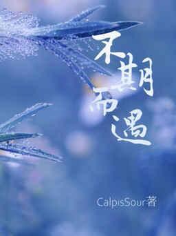 不期而遇封面