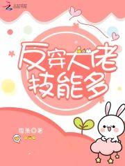 反穿大佬技能多封面