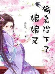 娘娘又偷袭陛下了封面