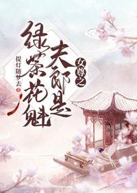 女尊之夫郎是绿茶花魁封面