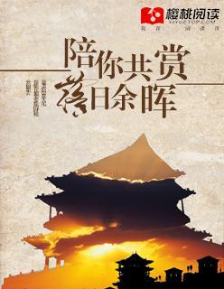 陪你共赏落日余晖封面