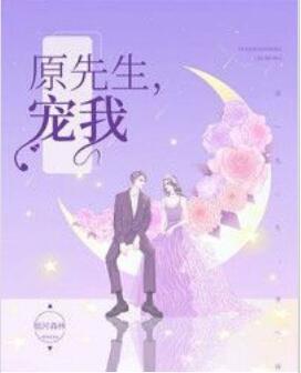 原先生，宠我！封面