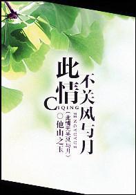 此情不关风与月封面