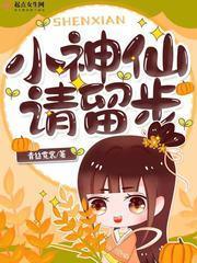 小神仙，请留步封面