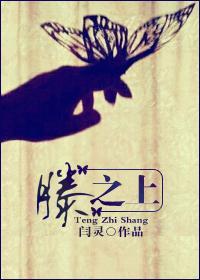 滕之上封面