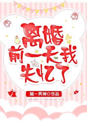 离婚前一天我失忆了封面