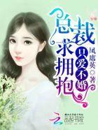只爱不婚：总裁，求拥抱封面