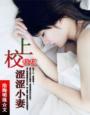 上校的涩涩小妻封面