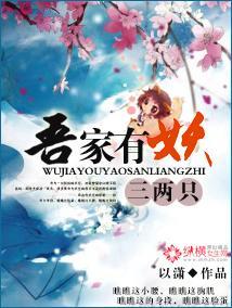 吾家有妖三两只封面