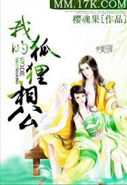 我的狐貍相公封面