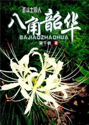 八角韶华封面
