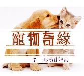 宠物奇缘封面