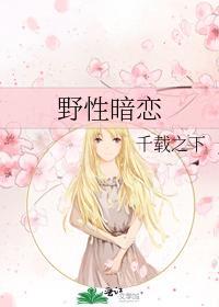 野性暗恋封面