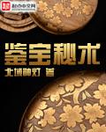 鉴宝秘术txt下载全本封面
