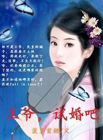 王爷，试婚吧封面