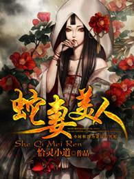 仙妻美人封面
