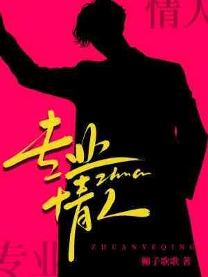 专业情人封面