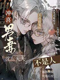 冲喜男妻不是人（古穿今）封面