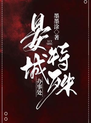 晏城特殊办事处封面