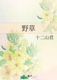野草封面