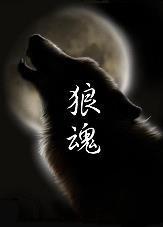狼魂封面
