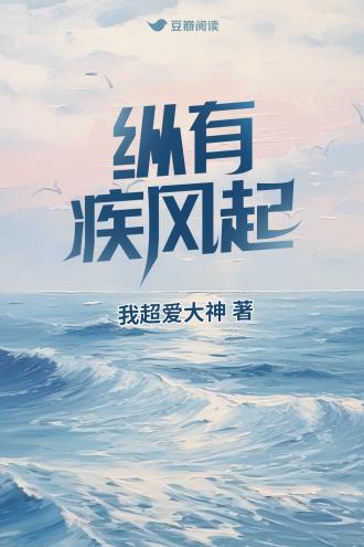 纵有疾风起封面