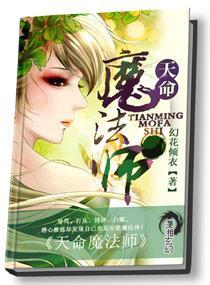 天命魔法师封面