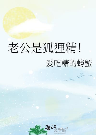 老公是狐貍精封面