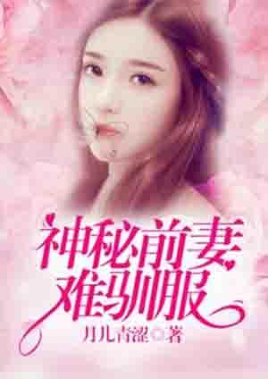 神秘前妻：难驯服封面