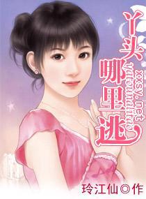 丫头，哪裏逃封面