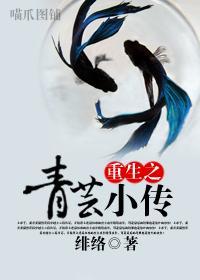 重生之青芸小传封面