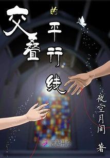 交迭的平行线封面