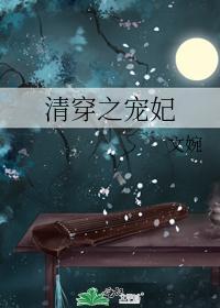 清穿之宠妃封面