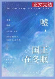 嘘，国王在冬眠封面