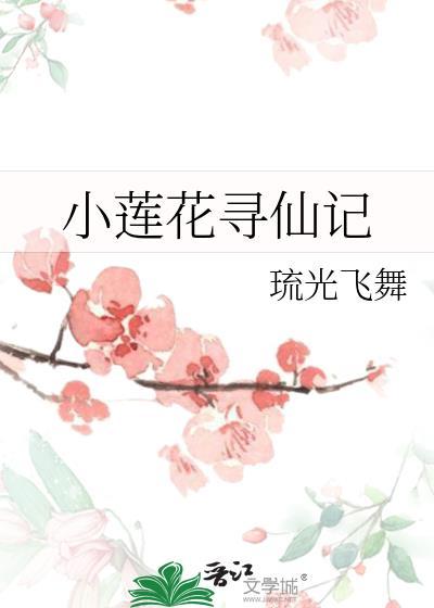 小莲花寻仙记封面