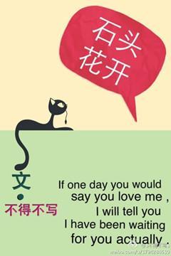 石头花开封面