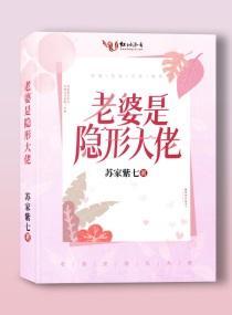 老婆是隐形大佬封面