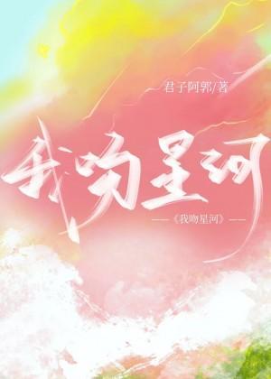 我吻星河封面