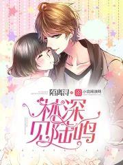 林深见陆鸣封面