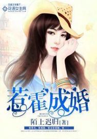 惹霍成婚霍南琛封面