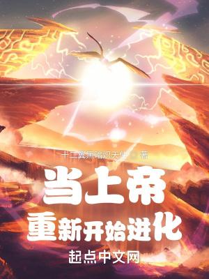 当上帝重新开始进化封面