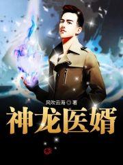 神龙医婿封面