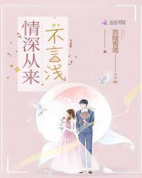 情深从来不言浅封面