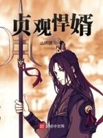 秦怀道贾有财贞观悍婿封面