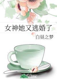 女神她又逃婚了封面