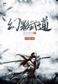 幻影武道封面