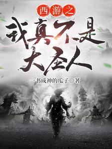 西游之我真不是大圣人封面